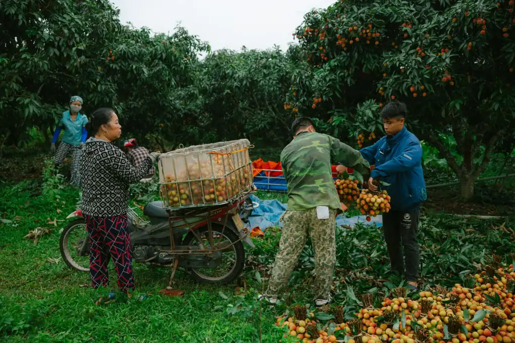 微波炉与电压力锅在家庭烹饪场景中的功能对比与选型建议