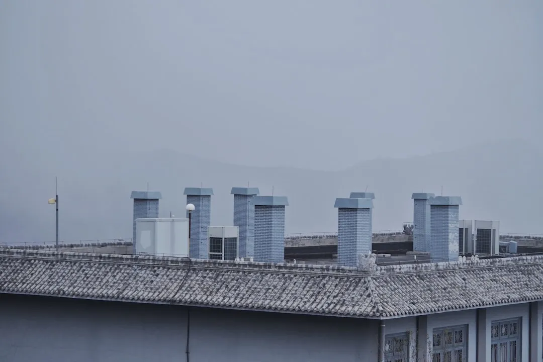山西地区家庭厨房电器选购指南：微波炉与电烤箱功能详解