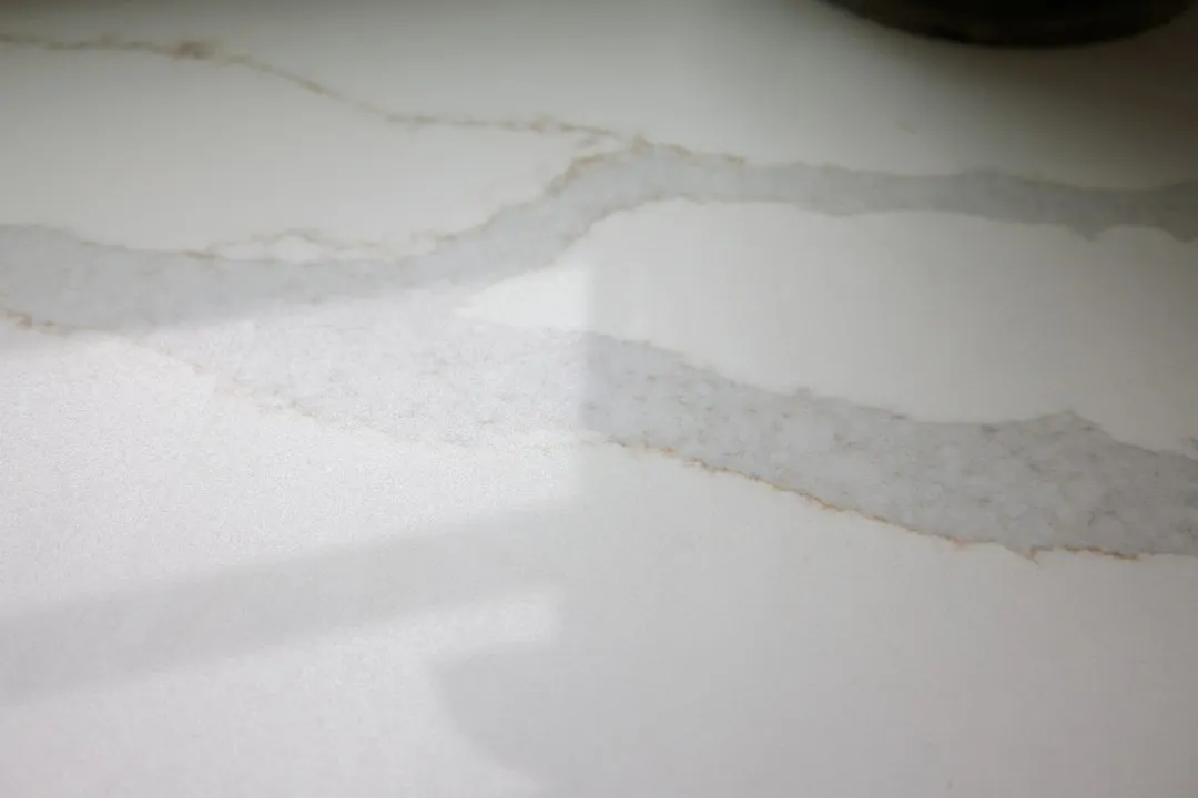 电压力锅与电烤箱功能差异解析：家庭烹饪场景应用指南